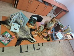 Proběhlo: Les na talíři aneb lesní pedagogika s paní Trojanovou