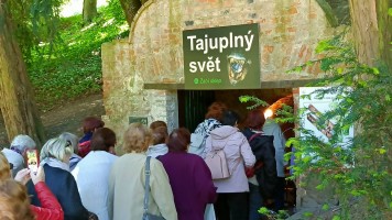 Výlet Akademie třetího věku do Valtic (13. května 2025)